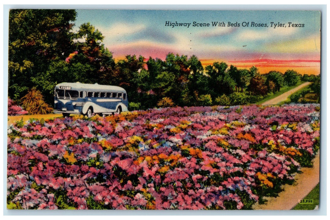 1950 Highway Scene With Beds Of Roses Sunset Tyler Texas TE Unposted Postcard