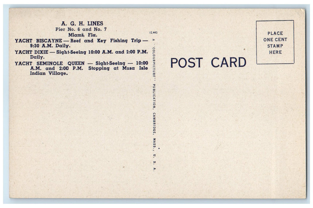 c1940's AGH Lines City Yacht Basin Pier 6 & 7 Miami Florida FL Unposted Postcard