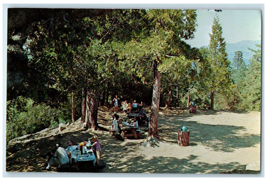 c1960's Greetings From Mt. Wilson Skyline Park Arcadia California CA  Postcard