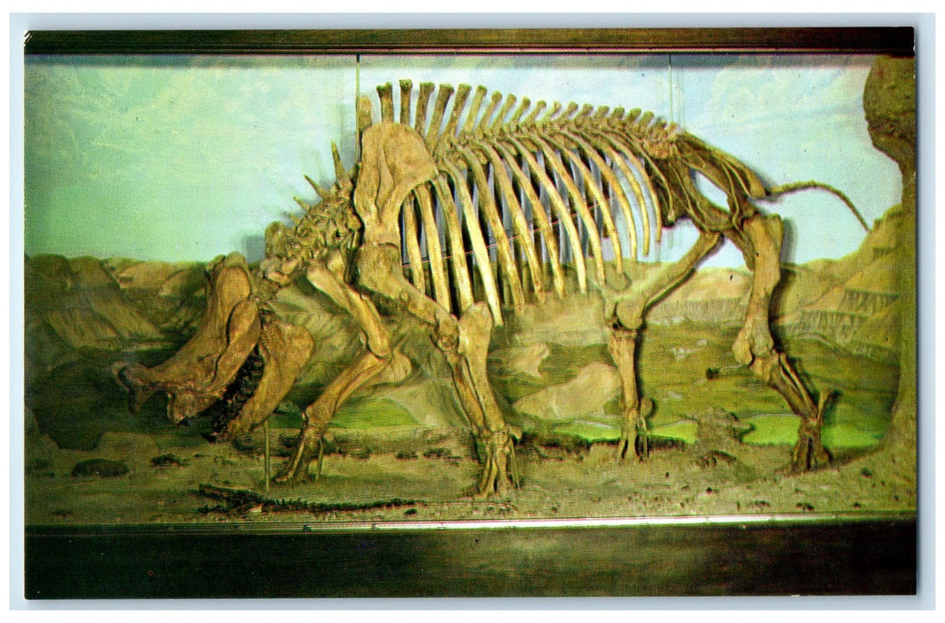 c1960's Museum Of Geology SD School Of Mines Rapid City South Dakota SD Postcard