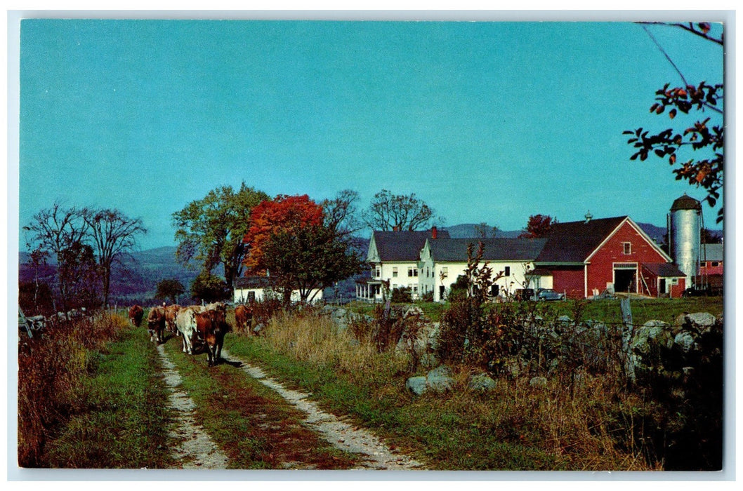 c1960s Greetings From Great Barrington Massachusetts MA Unposted Trees Postcard