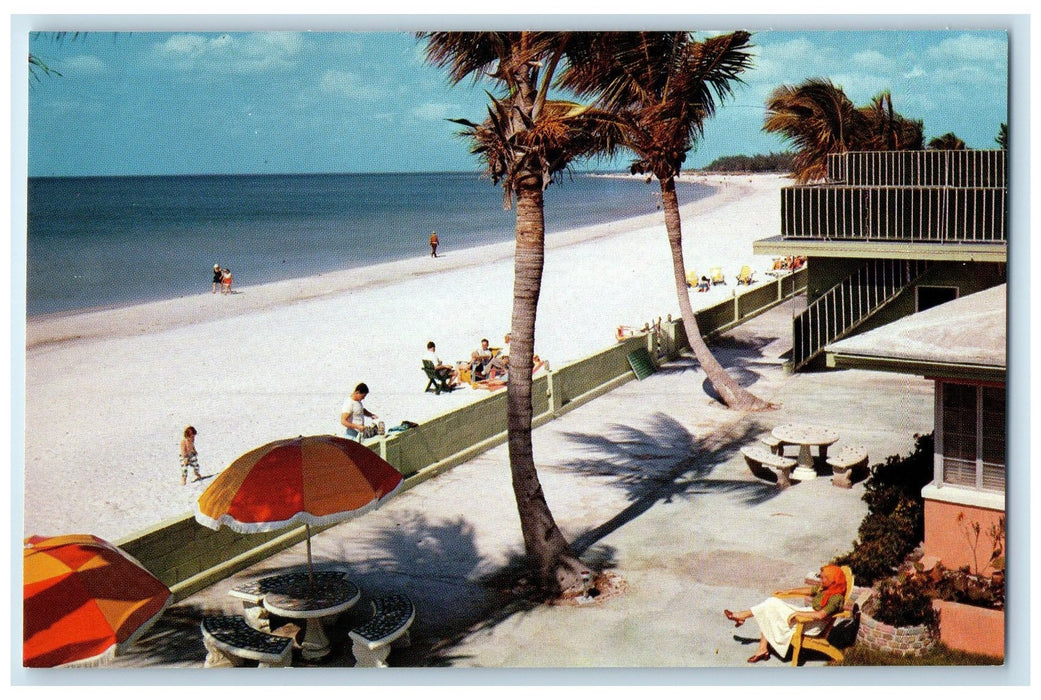 c1960's The Beautiful White Sands Of St. Petersburg Florida FL Trees Postcard