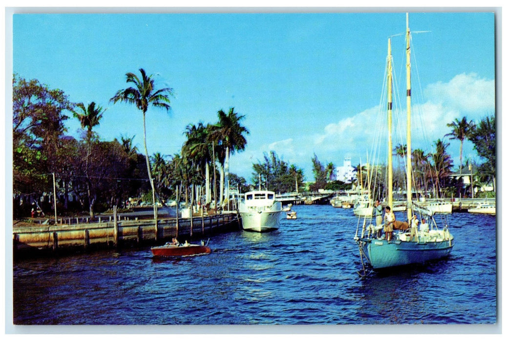 c1960s Scene Of Boats Along New River Fort Lauderdale FL Unposted Trees Postcard