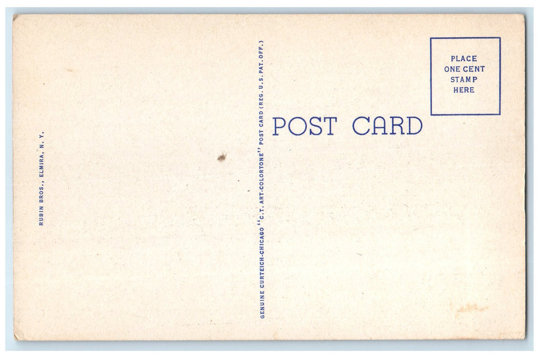c1940's St. Joseph's Hospital Side View Of Building Elmira New York NY Postcard