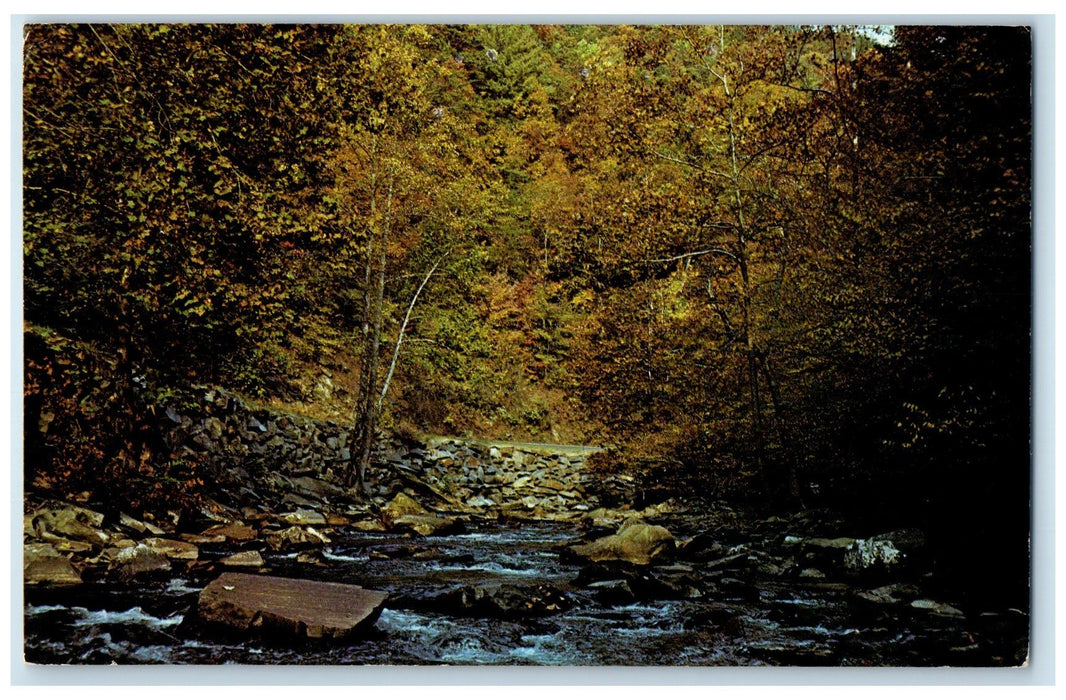 1976 Little River Gorge Autumn Como Stone Formation North Carolina NC Postcard