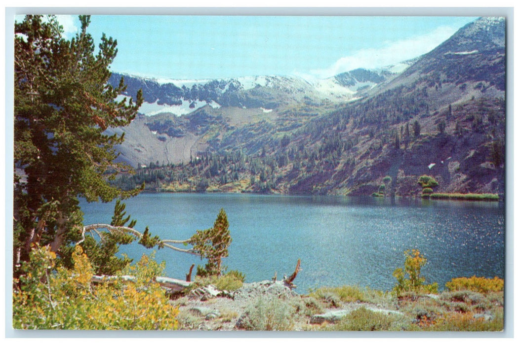 c1950's Big Virginia Lake Cabin Accommodation Lakes Resort Mono Lake VA Postcard