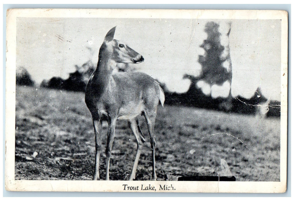 c1905's Deer Hunting Fishing Swimming Boating Trout Lake Michigan MI Postcard