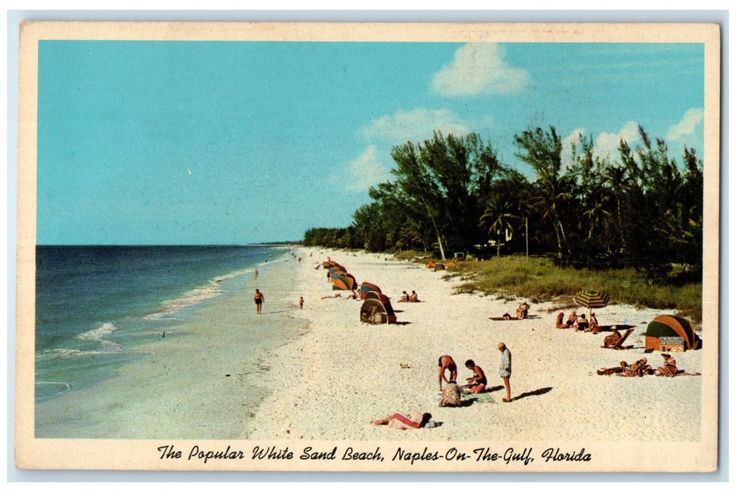c1920's The Popular White Sand Beach Tent Naples On The Gulf Florida FL Postcard