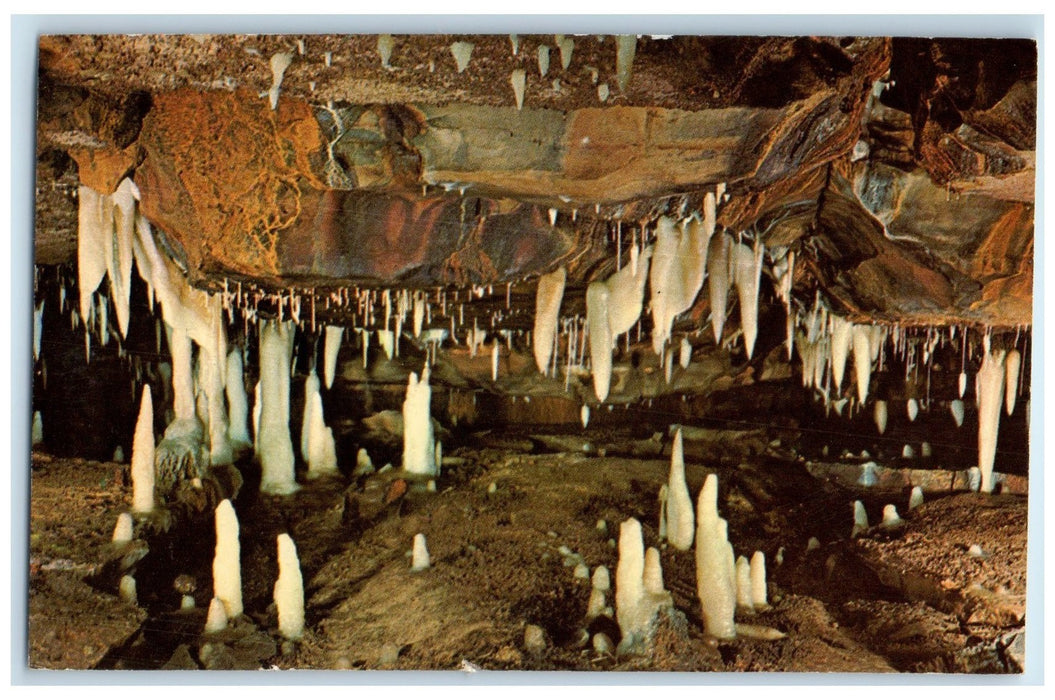 c1950's Palace Of The Gods Largest Ohio Caves View West Liberty Ohio OH Postcard