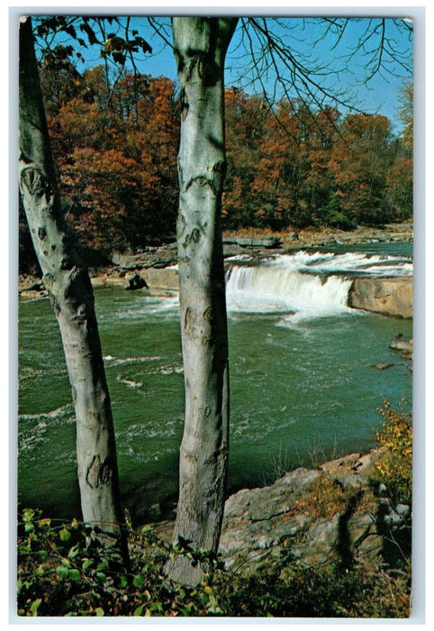 c1950's Ohiopyle Water Falls Forest Ohiopyle Pennsylvania PA Unposted Postcard