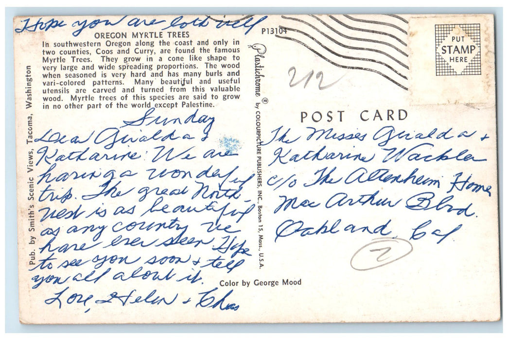 c1950's Oregon Myrtle Trees Coos And Curry County Cone Shape Oregon OR Postcard