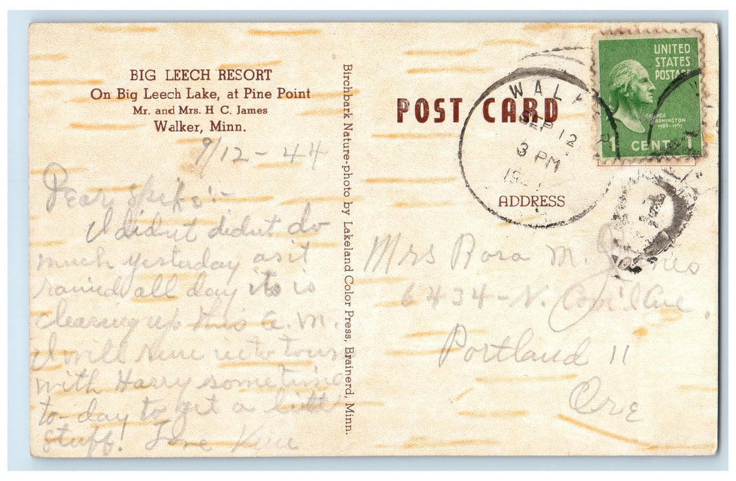 1944 Big Leech Resort Cabin Scene Walker Minnesota MN Unposted Trees Postcard