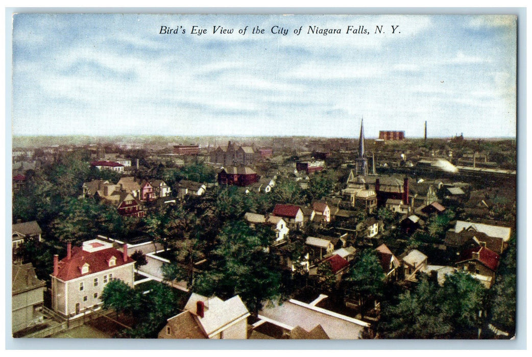 c1910's Bird's Eye View Of The City Of Niagara Falls New York NY Houses Postcard