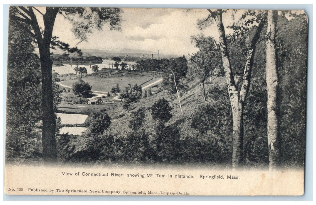 c1905s View Of Connecticut Showing Mt. Tom Springfield Massachusetts MA Postcard