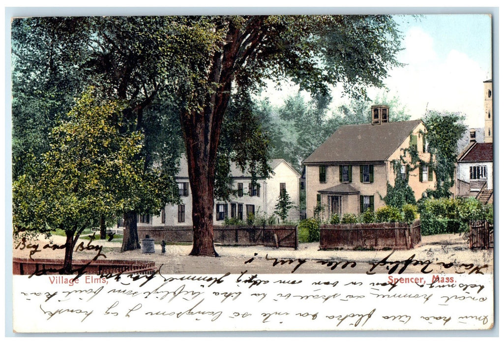 1907 Village Elms Dirt Street Tress Houses Spencer Massachusetts MA Postcard