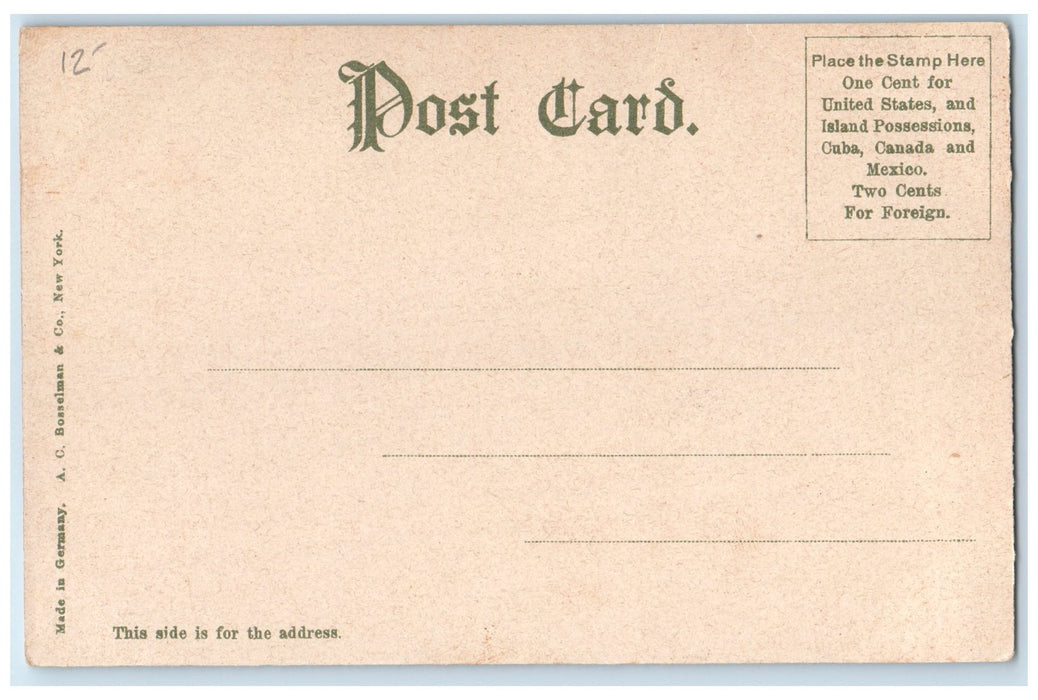 c1905's Steamboat Landing Scene Plymouth Massachusetts MA Unposted Postcard