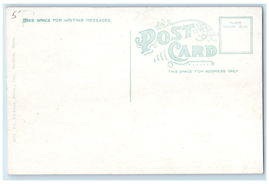 c1910's Arrival Of The Boat Showing Plymouth Massachusetts MA Unposted Postcard