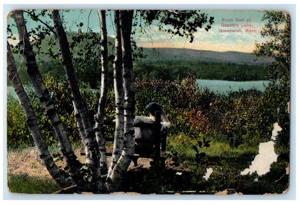 c1910 Birch Dell At Quabbin Lake Man On Tree Greenwich Massachusetts MA Postcard