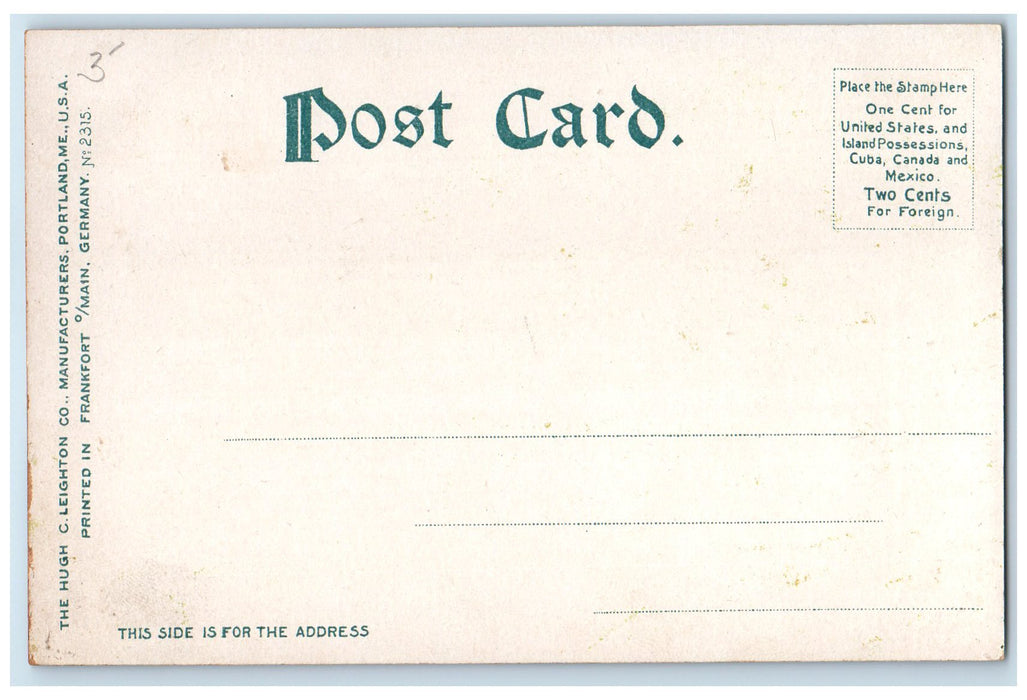 c1920's Road To Smith's Trees Lake Scene Ferry South Hadley MA Unposted Postcard