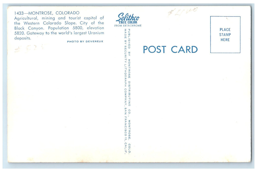 c1950's Agricultural & Mining Tourists Capital Montrose Colorado CO Postcard