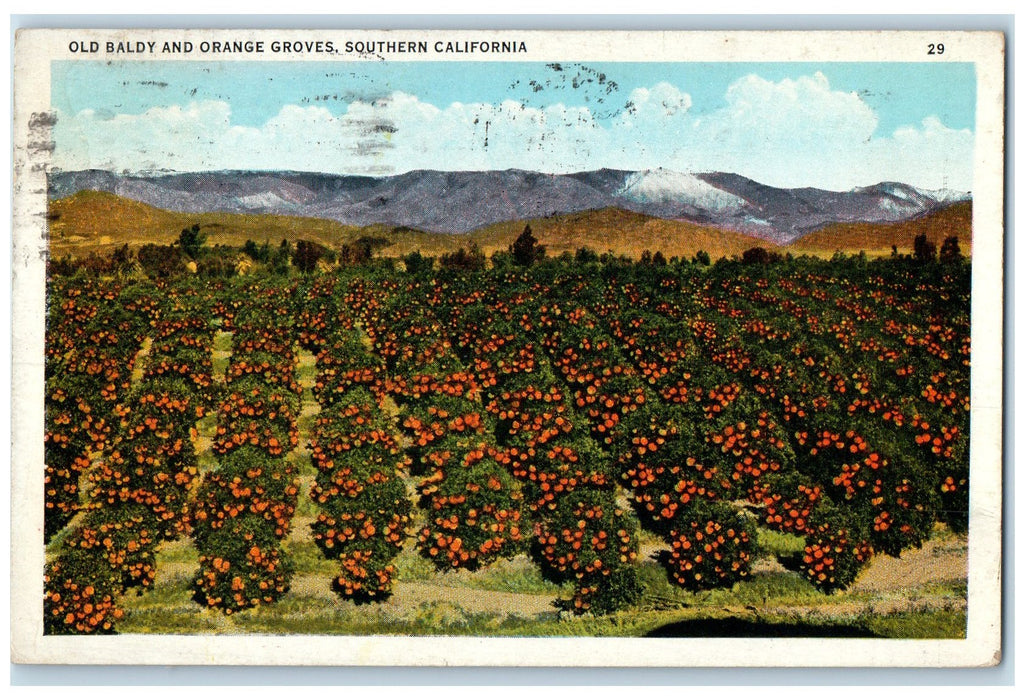 1933 Old Baldy & Orange Groves Farm Plantation Southern California CA Postcard