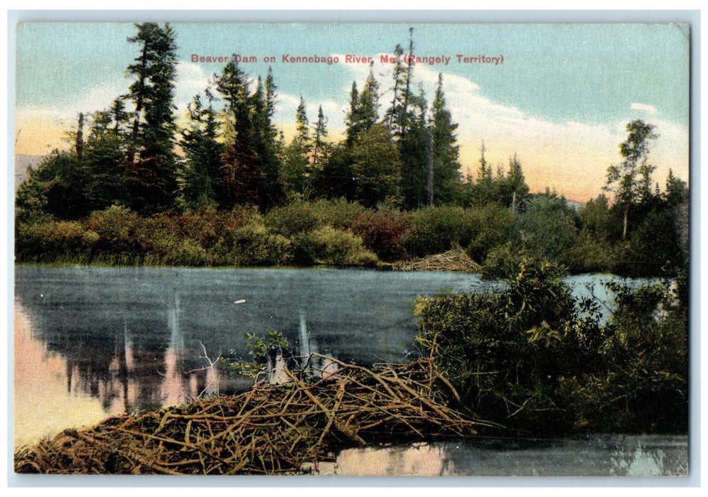 c1950's Beaver Dam Rangely Territory Groves Kennebago River Maine ME Postcard