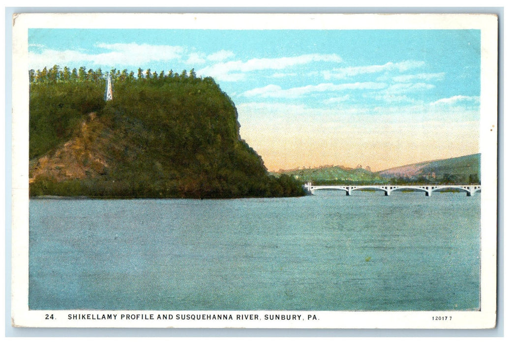 c1920 Shikellamy Profile And Susquehanna River Sunbury Pennsylvania PA Postcard