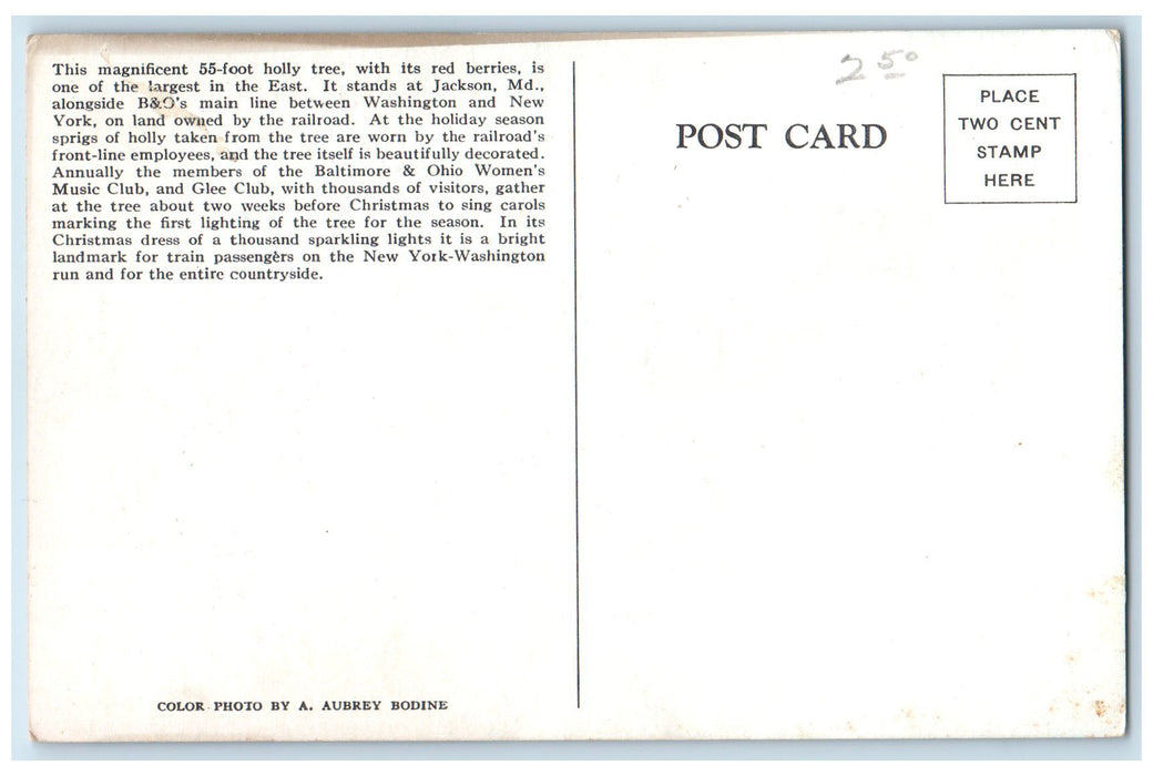 c1920 Baltimore & Ohio's Famous Holy Tree By Tracks Jackson Maryland MD Postcard