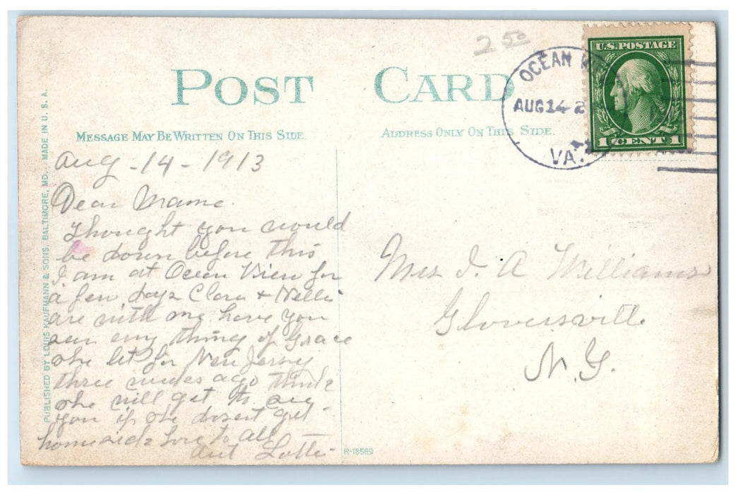 1913 Shoreline Overlooking Hampton Roads Soldier's Home Virginia VA Postcard