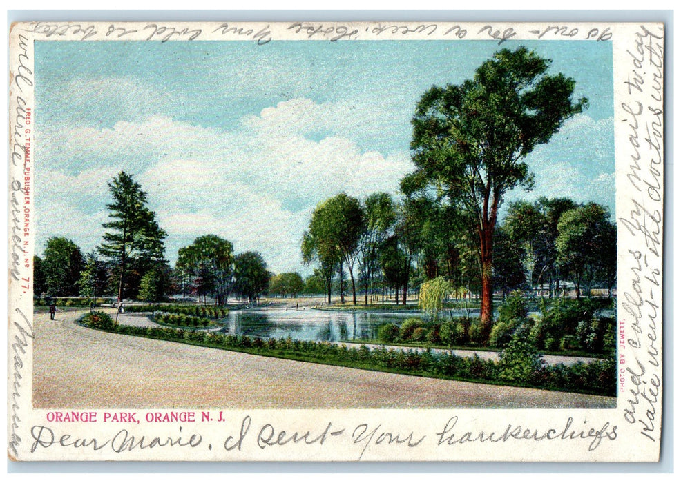 1904 Orange Park Dirt Road Pond Groves Tourist Orange New Jersey NJ  Postcard