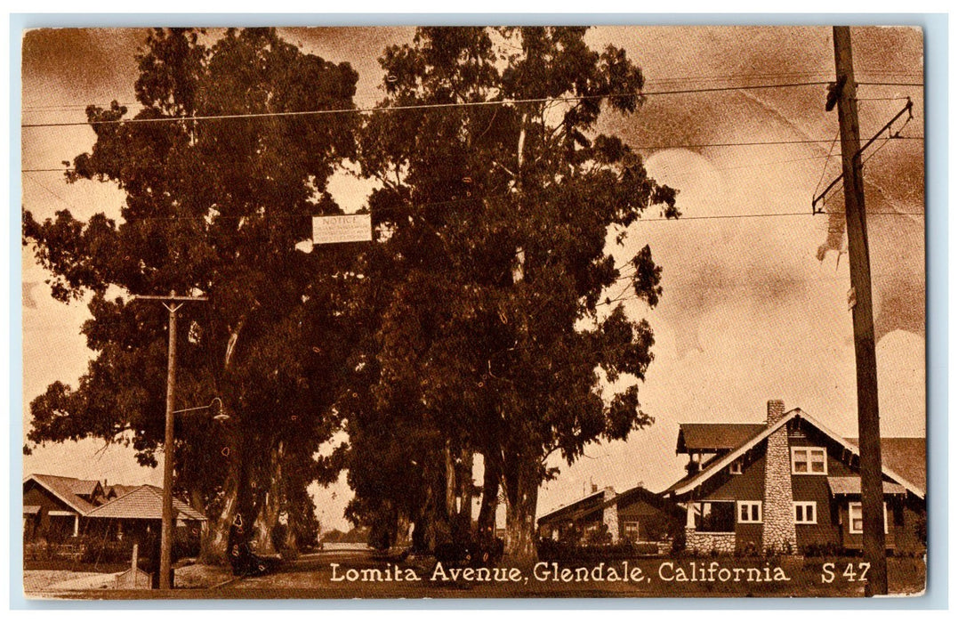 1913 Lomita Avenue Tall Trees Glendale California CA Unposted Residence Postcard