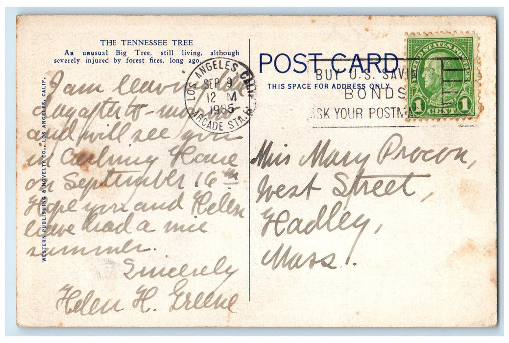 1935 The Tennessee Tree View General Grant National Park Los Angeles CA Postcard