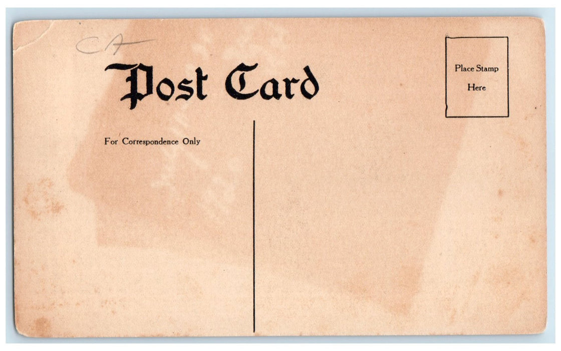 c1910's State Road Glenbrook Lake Nevada County California CA Unposted Postcard