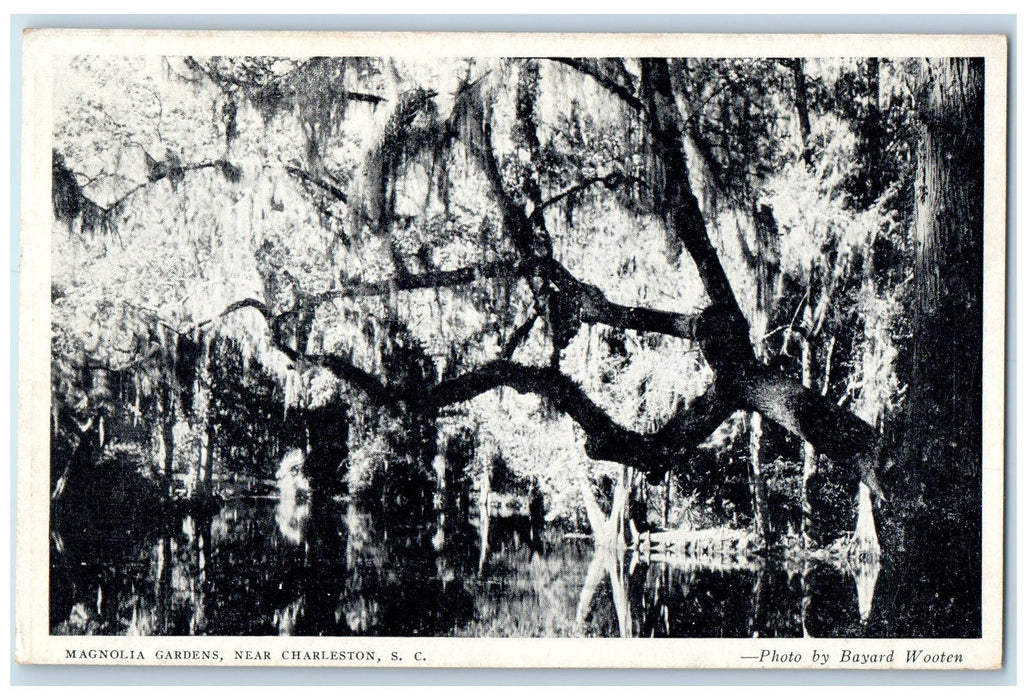 c1940's Magnolia Gardens Charleston South Carolina SC Unposted River Postcard