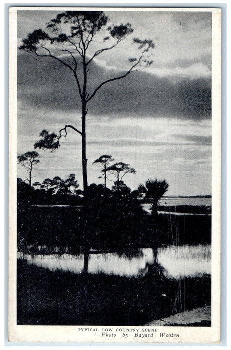 c1940's Typical Low Country Charleston South Carolina SC Unposted River Postcard