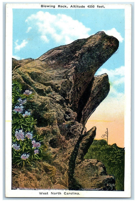 c1940's Blowing Rock And Flowers Scene Watauga County North Carolina NC Postcard