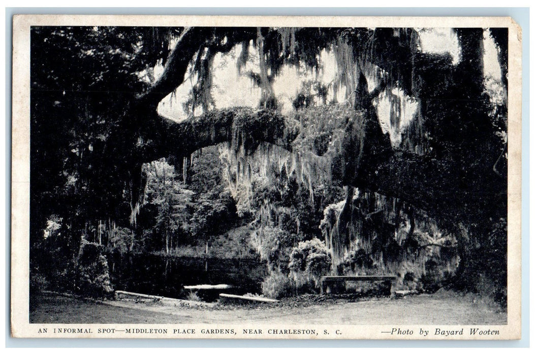 c1940's Middleton Place Gardens Charleston South Carolina SC Unposted Postcard