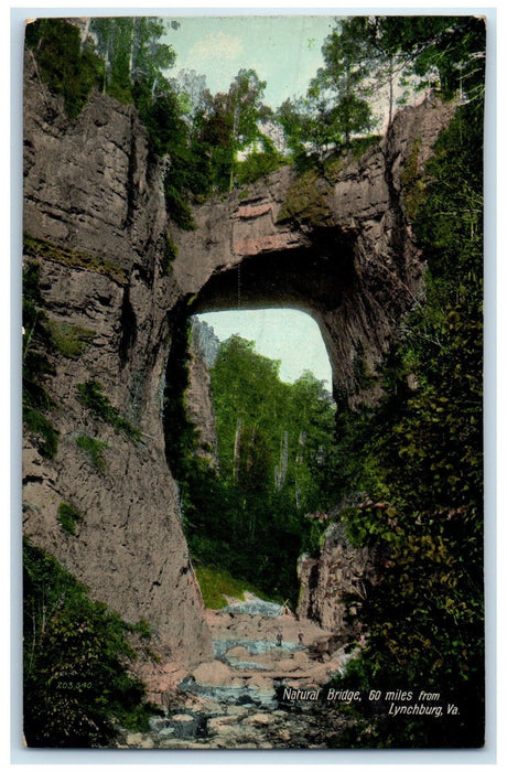 c1910's View On The James River Trees Lynchburg Virginia VA Unposted Postcard