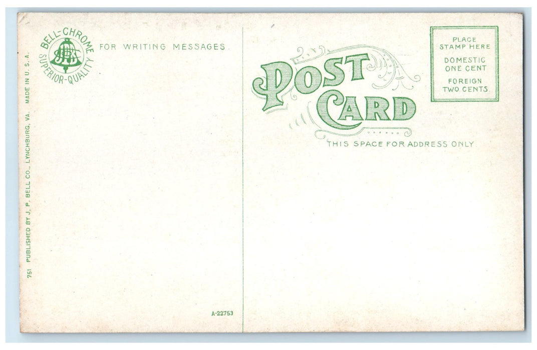 c1910's Tunnel Through Castle Rock Western Railway Norfolk VA Trees Postcard