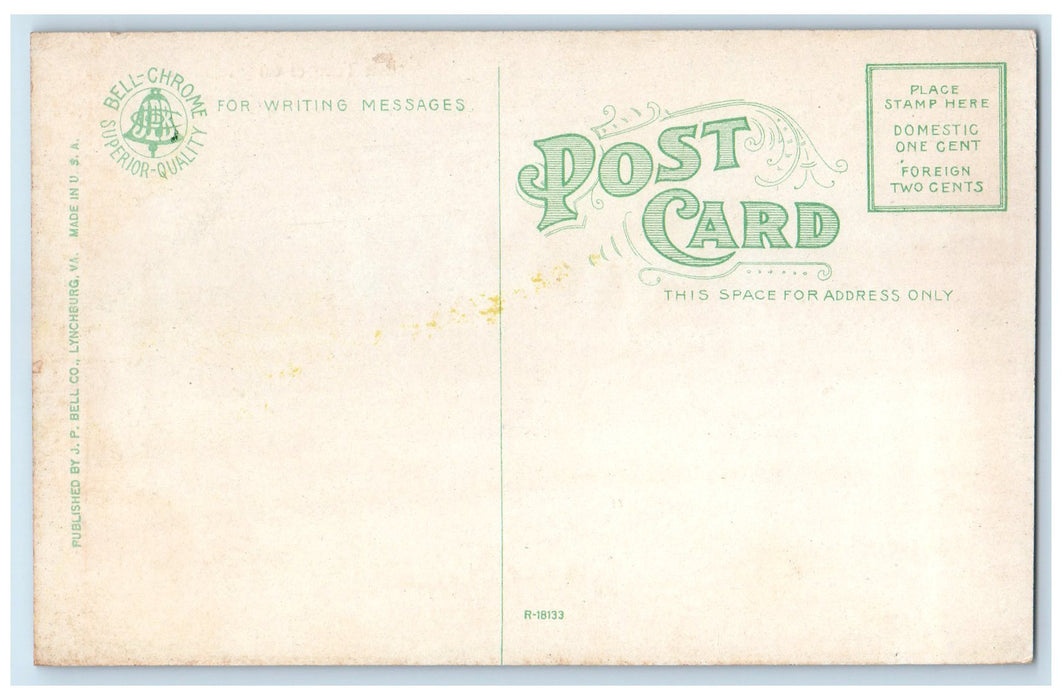 c1910s Eggleston Tunnel View On North And West Railway Norfolk VA Trees Postcard