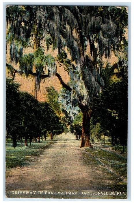 1913 Driveway In Panama Park Scene Jacksonville Florida FL Posted Trees Postcard
