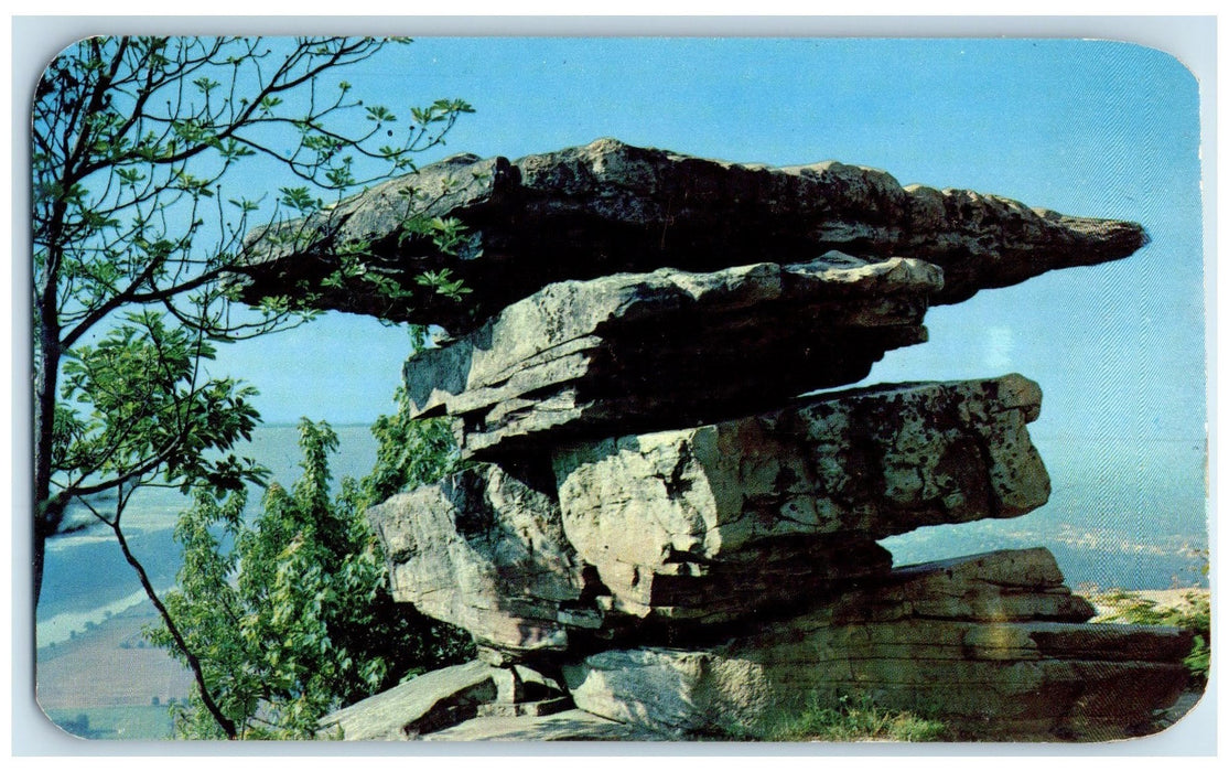 c1960's Umbrella Rock Point Park Lookout Mountain Tennessee TN Trees Postcard