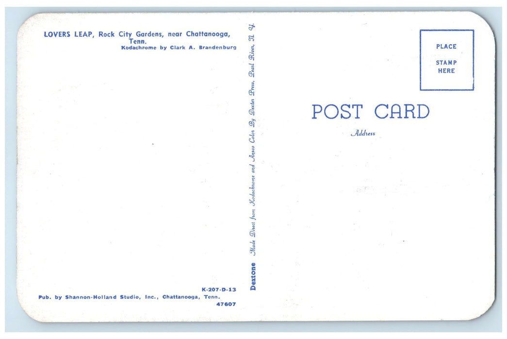 c1960's Lovers Leap Rock City Gardens Chattanooga Tennessee TN Trees Postcard