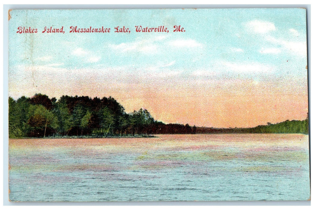 1910 Blakes Island Messalonskee Lake Waterville Maine ME Posted Trees Postcard