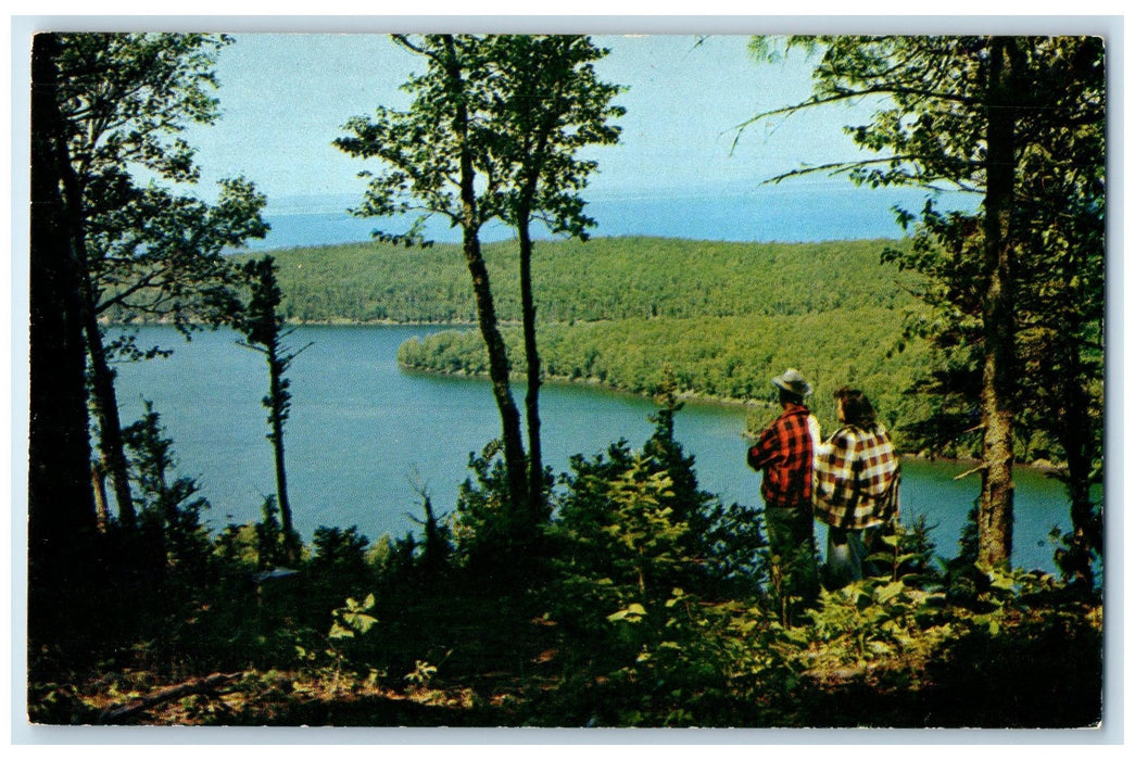 c1960s Duncan Bay From Lookout Louise Keweenaw County Michigan MI Trees Postcard