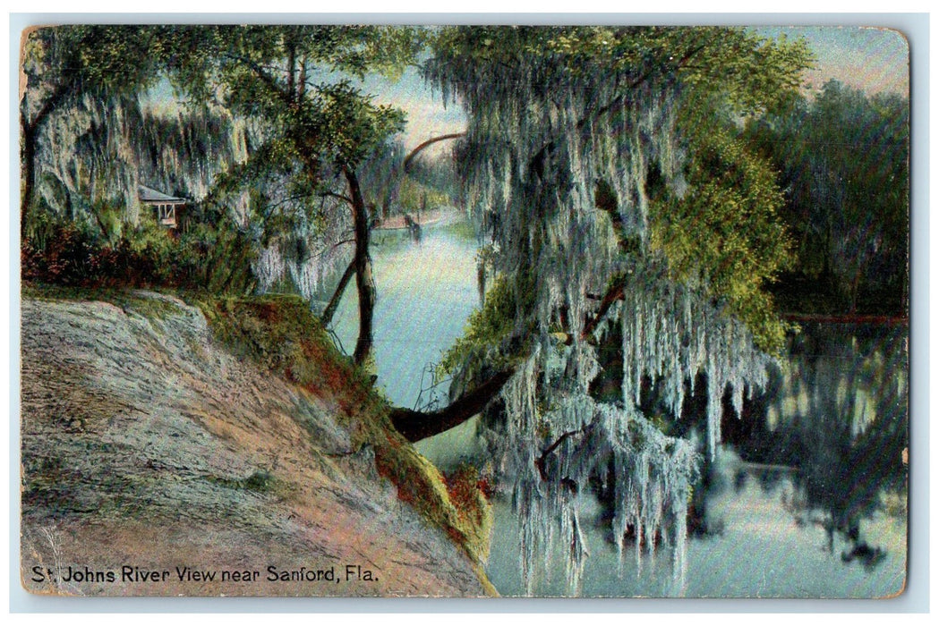 1916 Scene Of St. Johns River View Near Sanford Florida FL Posted Trees Postcard