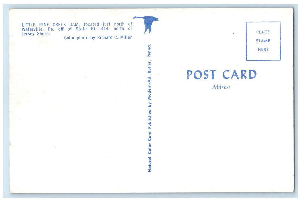 c1960's Little Pine Creek Dam Waterville Pennsylvania PA Unposted Trees Postcard