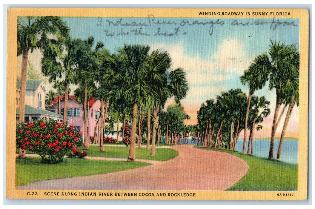 1947 Scene Along Indian River Between Cocoa And Rockledge FL Trees Postcard