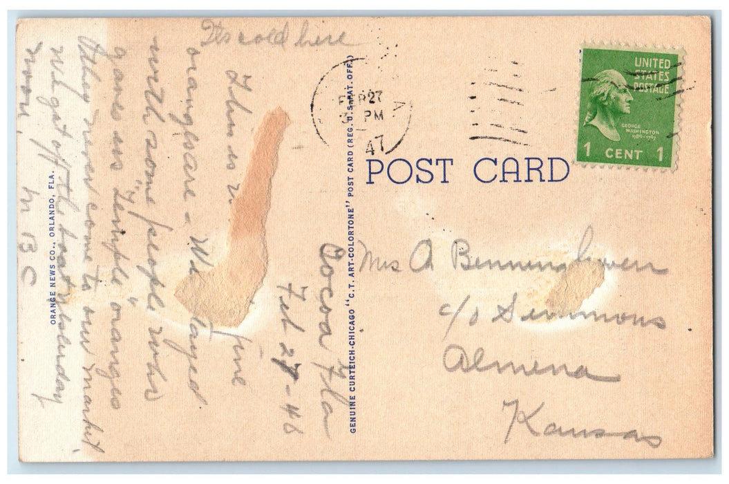 1947 Scene Along Indian River Between Cocoa And Rockledge FL Trees Postcard
