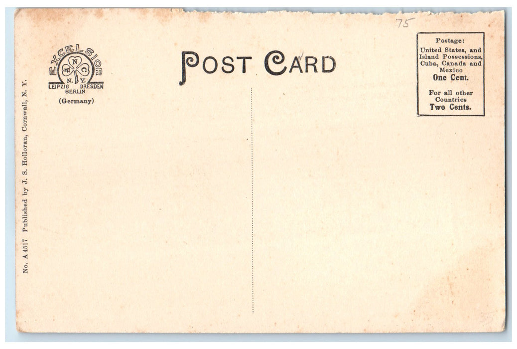 c1920's Erie Depot Train Terminal Railroad Mountainville New York NY Postcard